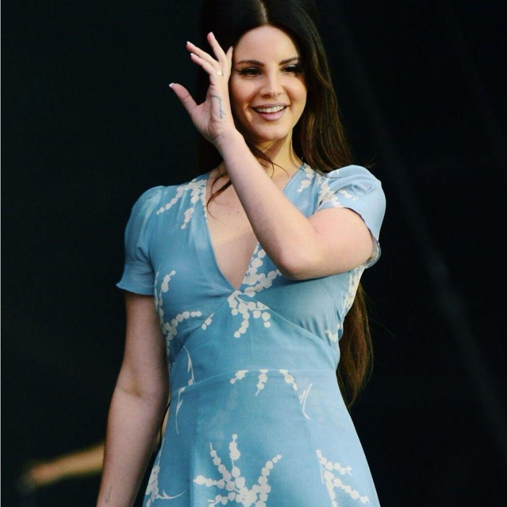 Lana Del Rey Dress